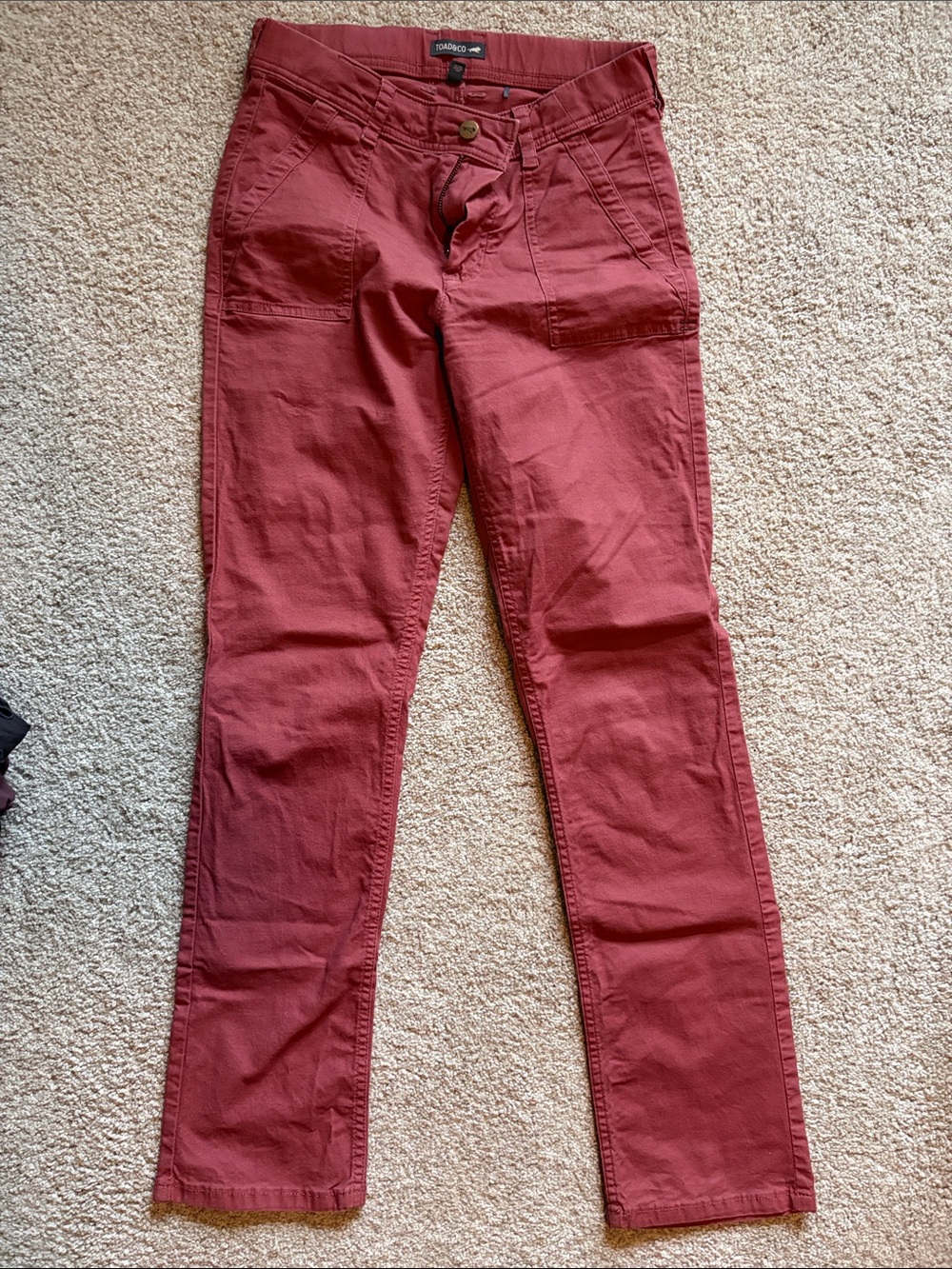 Toad and Co Earthworks Slim Pant size 4